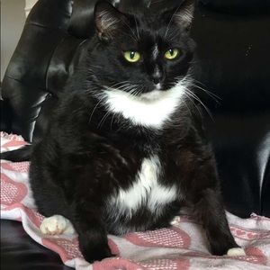 Meet your Posher, Aidan